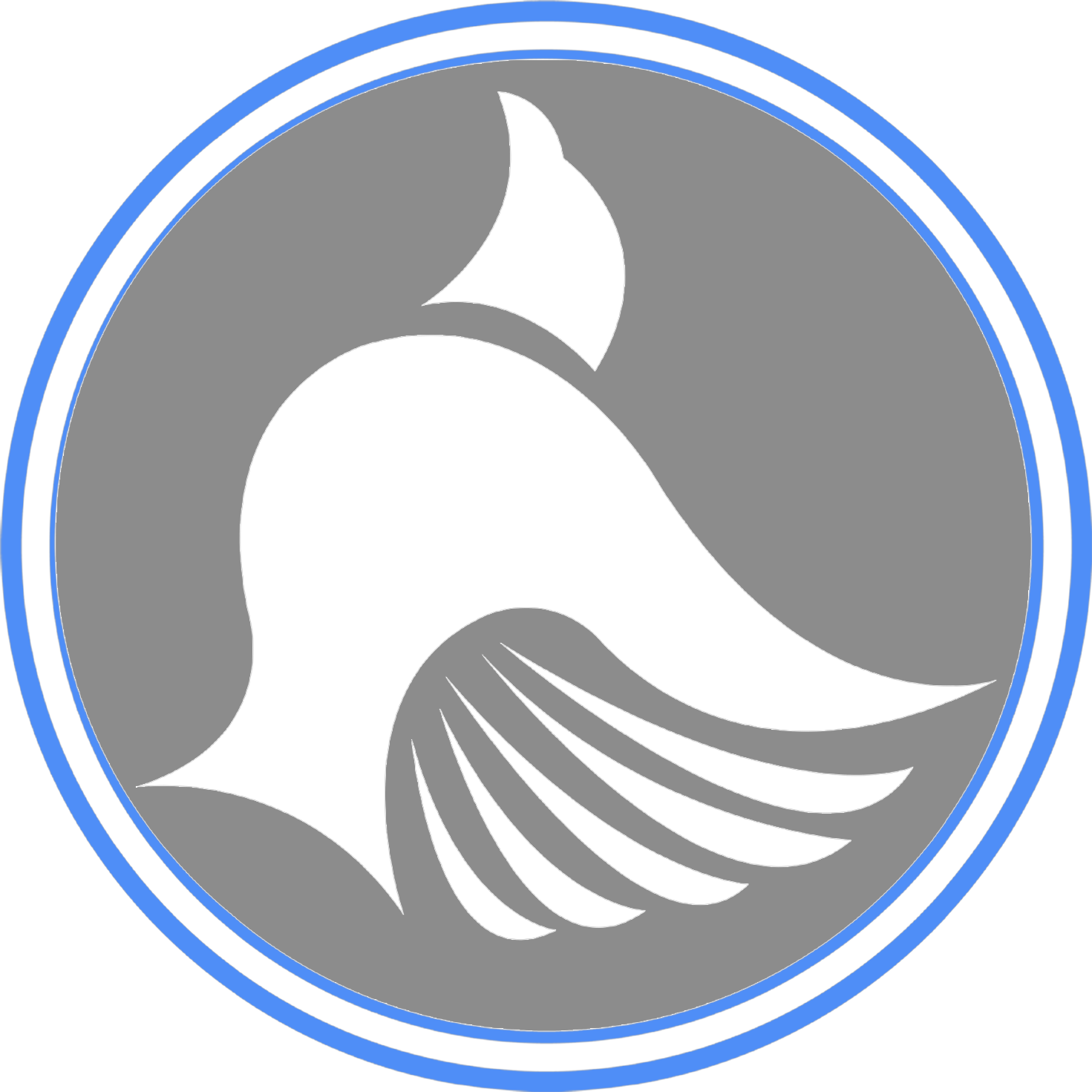 White Dove Solutions